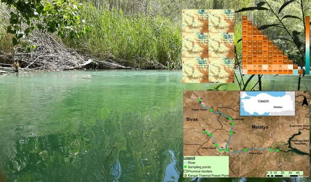 Tohma Çayı Zehir mi Taşıyor? Üniversitenin Raporunda 'Ağır Metal' ve 'Kanser' Detayı!