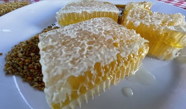 AB’den tescil aldı: Yenice ıhlamur balı dünya sahnesine çıkıyor