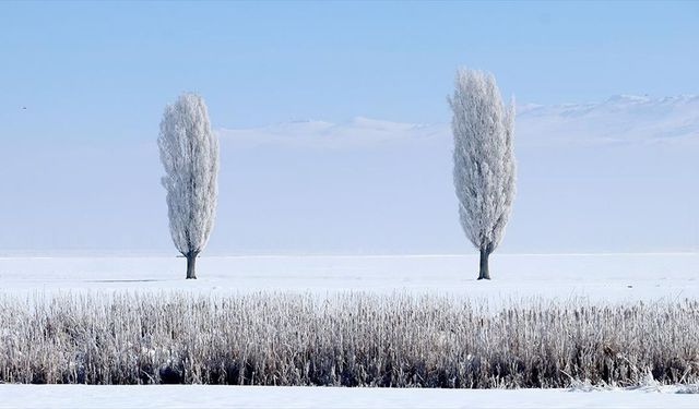 Erzurum, Kars, Tunceli ve Ardahan'da kar yerini soğuk havaya bıraktı