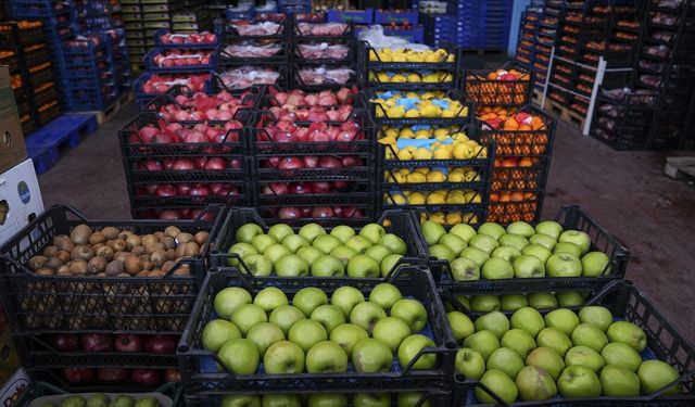 Hal işlemlerinde düşük fiyat bildirimiyle vergi kaybı tespit edildi