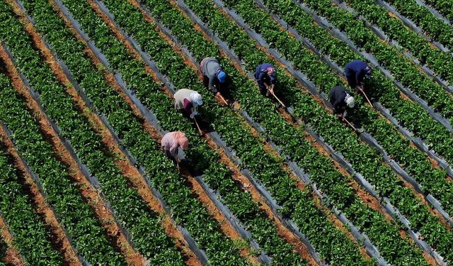 Kimlik Numarası ‘0’ Olanlar İçin Ödeme Bugün