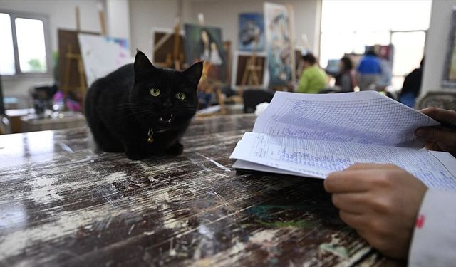 Resim Derslerinin Sevimli Misafiri: Şükufe Kursiyerlerin Kalbini Çaldı