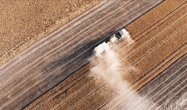 Tarım sezonunun ilk 4 ayında yağışlar geçen yıla göre yüzde 38 arttı