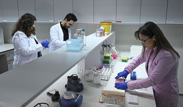 Türk araştırmacılar, kanser tedavisinde yan etkileri azaltacak çalışmaya öncülük edecek