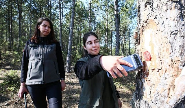 Türkiye’nin Akciğerleri Kadın Ormancıların Emanetinde