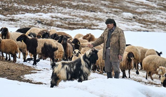 Van'ın kırsal mahallelerinde baharda da karla mücadele sürüyor