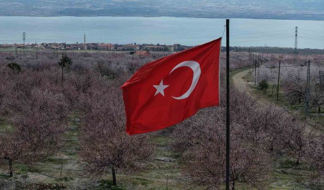 Elazığ Baskil'de Kayısı Bahçeleri Beyaza Büründü, Ortaya Eşsiz Manzaralar Çıktı