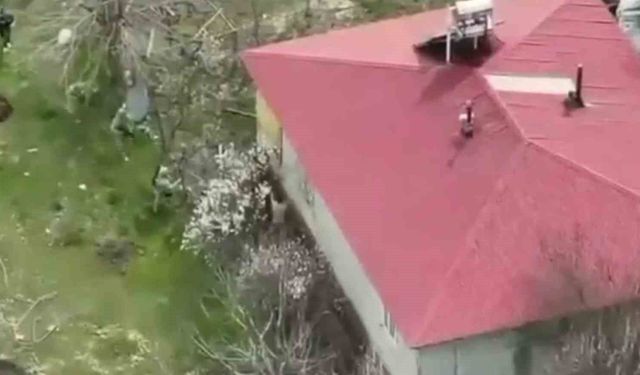 Elazığ'da 16 yıl Cezası Olan Hükümlü Yakalandı