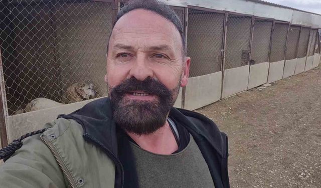 Kayıp Kangalını Sibirya Kurduyla Birlikte Bulan Sahibi: 'Sibirya Kurdu Sivas'a Gelin Geldi'