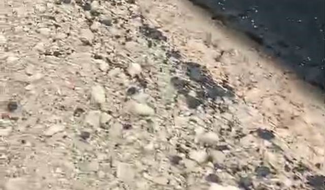 Kurtalan'da Yeni Yapılan O Yol Vatandaşların Tepkisini  Topluyor!