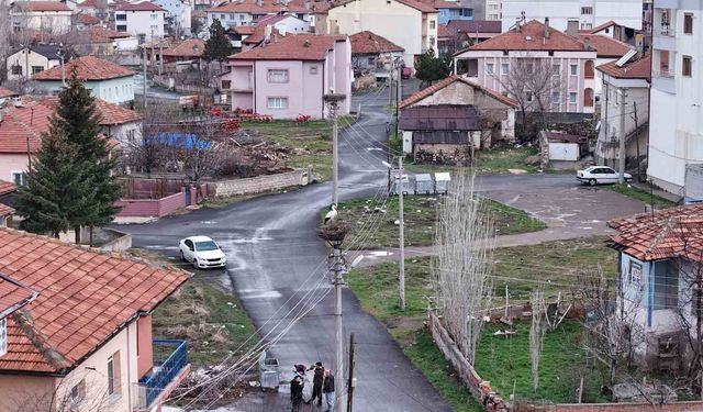 Mahallenin Maskotları Baharla Gelince Yuvalarına Döndüler