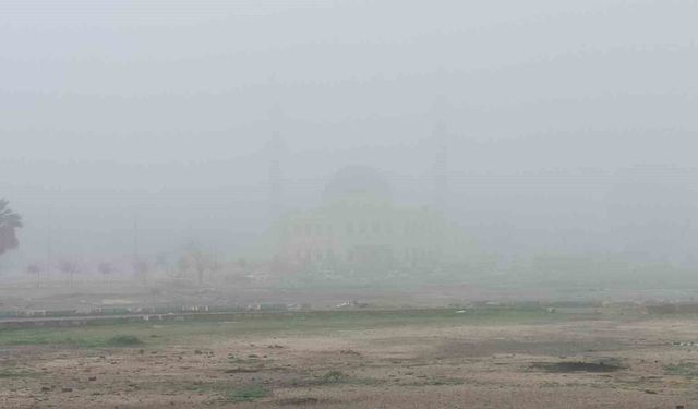 Şanlıurfa'yı  Yoğun Sis Etkisi Altına Aldı