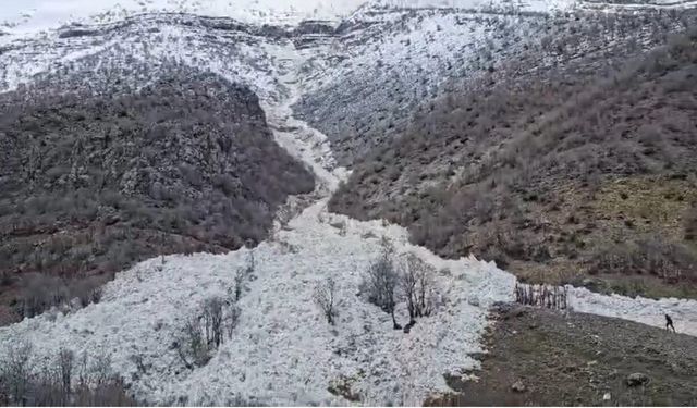 Şırnak'ta Çığ Düştü