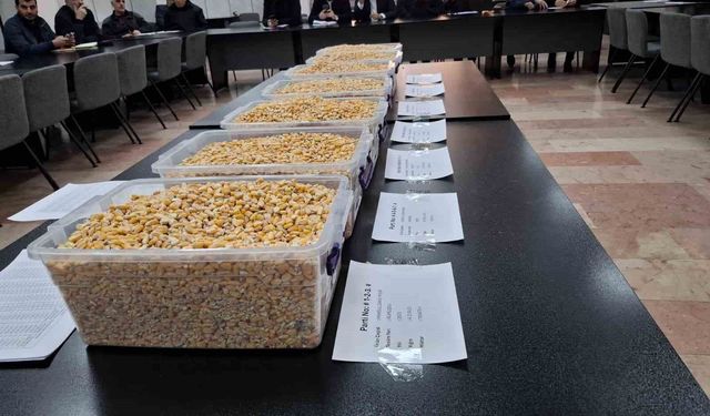 TİGEM'in 13,5 bin tonluk mısır satışı GTB'de gerçekleşti