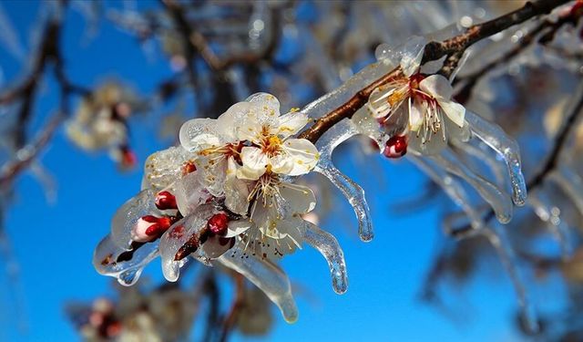 Meteorolojiden Malatya İçin Yeni Uyarı!
