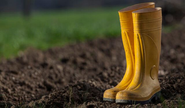 Sarı Çizmeli Mehmet Ağa Kimdir?