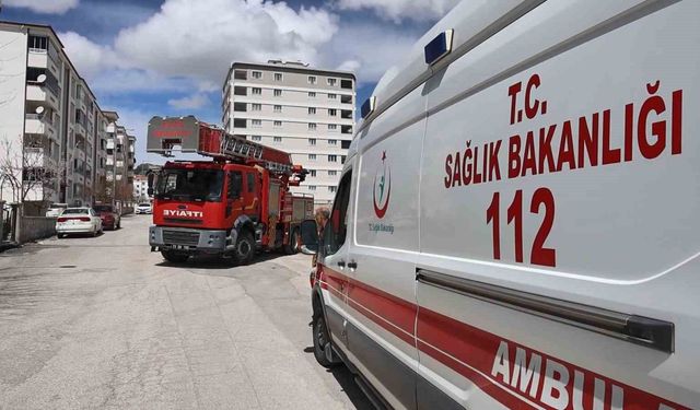 Elazığ’da Kayıp Zannedildi, Meğer Sadece Uyuyormuş!
