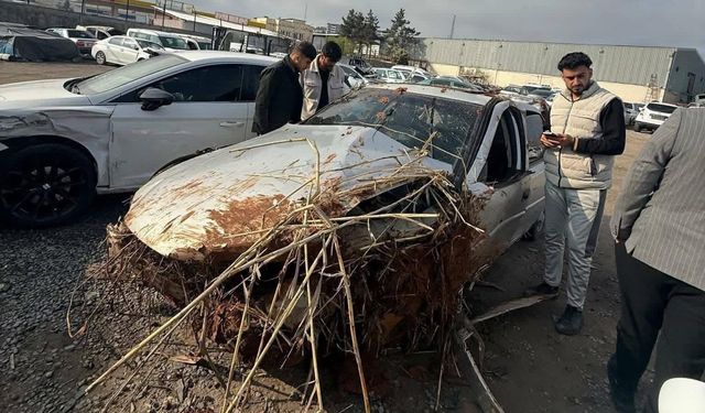 Şanlıurfa'da kontrolden çıkıp devrilen otomobilin sürücüsü hayatını kaybetti