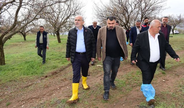 Başkan Sami Er Açıkladı: Don ve Dolu Hasarı İlgili Mercilere Sunuluyor