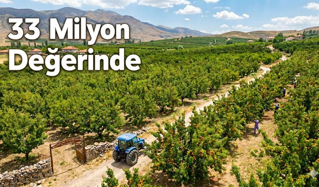 Yeşilyurt’ta Dev İcra Satışı: 33 Milyon TL Değerindeki Kayısı Fabrikası Yeni Sahibini Arıyor