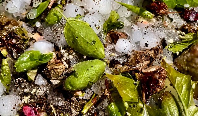 Malatya Valiliği'nden Dolu Afeti Açıklaması: 9 İlçede O Mahalleler Tek Tek Açıklandı!