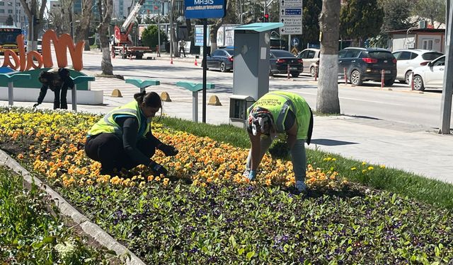 Malatya Renkleniyor: Şehir Bahara Çiçeklerle Uyandı