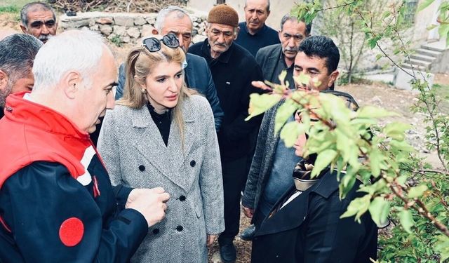 Kayısıdaki Hasar Erdoğan'a Sunulacak! Borçlar Ertelenecek mi?
