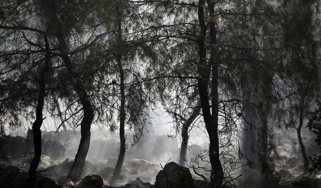 Fethiye'de çıkan orman yangını kontrol altına alındı