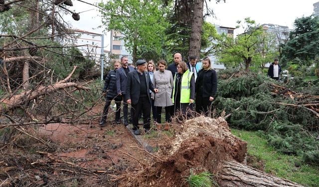 Şiddetli Fırtına Gaziantep’i Vurdu: Şehirde Hasar Gün Işığıyla Ortaya Çıktı