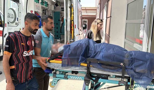 Adıyaman’da “acemi kasap” mesaisi: Yaralananlar hastanelik oldu