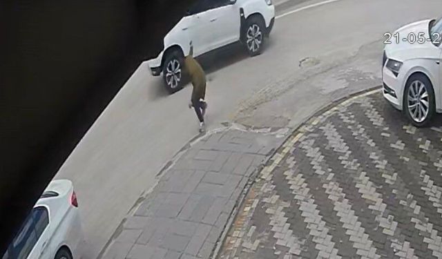 Gaziantep’te Alacak Verecek Kavgası Kanlı Bitti: 1 Kişi Ağır Yaralı, Saldırı Kamerada