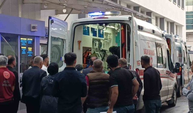 Merada Korku Dolu Anlar: Çobana Yıldırım İsabet Etti