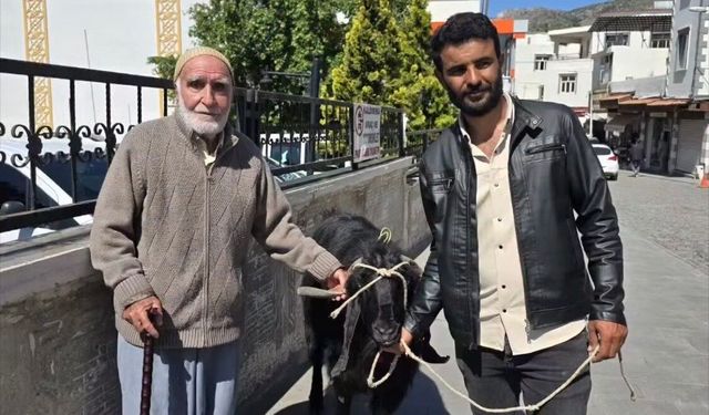 Diyarbakır Çermik’te Kurbanlık Hareketliliği: 70 Kiloluk Keçi Bakın Ne Kadara Satıldı
