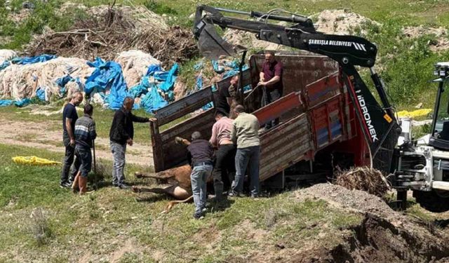 Kesime Bir Gün Kala Ortalığı Birbirine Kattı, 4 Saat Sonra Yakalandı
