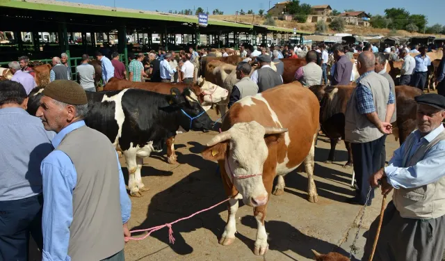 Malatya'da Kurban Kampanyası Başladı! 26 Mayıs Son