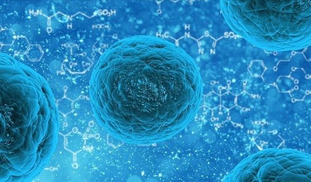 Norovirüs Paniği Büyüyor! Yeni Pandemi Mi Geliyor
