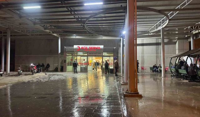 Tartıştığı Amcasını Vurdu