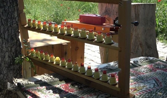 Malatya’da arı sütü üzerine önemli araştırma: Kalite farkının sırrı ortaya çıktı