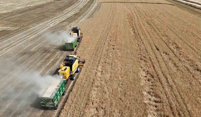 Adıyaman'da Hasat Sezonu Başladı: Rekoltede Yüzleri Güldürecek Artış Bekleniyor