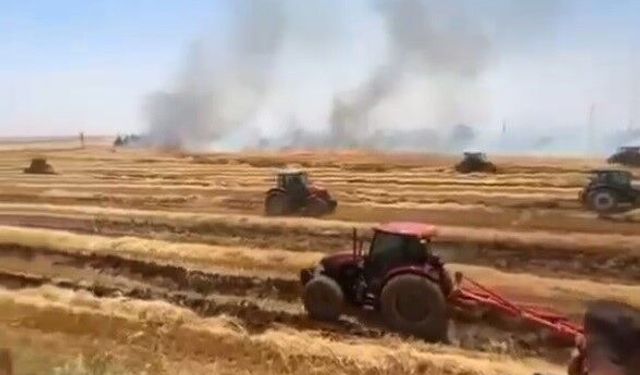 Anız Yaktı, Hem Hayvanı Telef Oldu Hem Tarım Malzemeleri Kül Oldu!