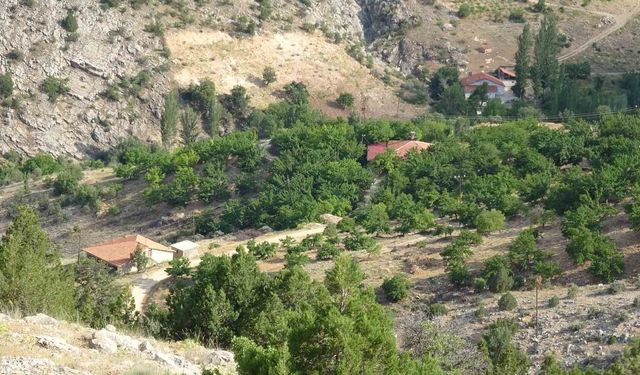 Aysel Yıldırım Soruşturmasında Yeni Adres: Akçadağ'da Geniş Çaplı Arama