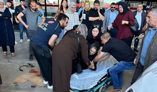 Elazığ Otogarda Köpek Saldırısı: Bir Kadın Yaralandı