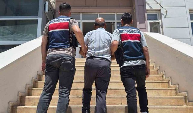 Şanlıurfa’da Firari Hükümlü Jandarma Operasyonuyla Yakalandı