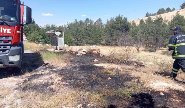 Şanlıurfa'da ormanlık alanda korkutan yangın!