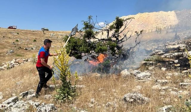 Adıyaman'da Korkutan Yangın: 50 Dönümlük Alan Kül Oldu
