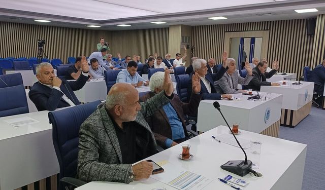 Hanımınçiftliği Ve Orduzu Kararı Mecliste: Sarılık Mevkiinde Neler Değişecek?
