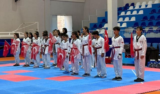 Kayseri'de 300 Sporcu Tatamiye Çıktı