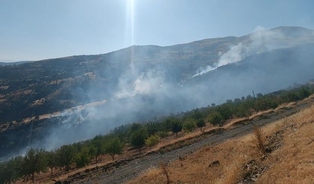 Başkan Sami Er'den Pütürge Yangını Açıklaması: Yangın Kontrol Altına Alındı