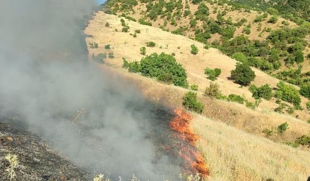 Malatya Doğanyol'da korkutan orman yangını! Çok sayıda ekip sevk edildi