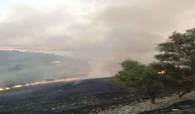 Kahta'da Korku Dolu Anlar! Anız Yangını Köye Kadar Ulaştı